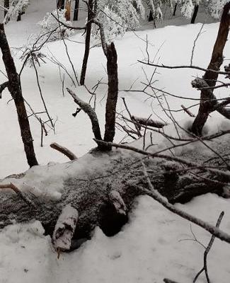 Winter Season School Composition Book Snow Scene 130 Pages: (notebook, Diary, Blank Book)