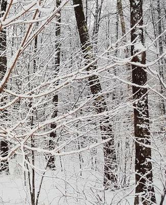 Winter Season School Composition Book Woods 130 Pages: (notebook, Diary, Blank Book)