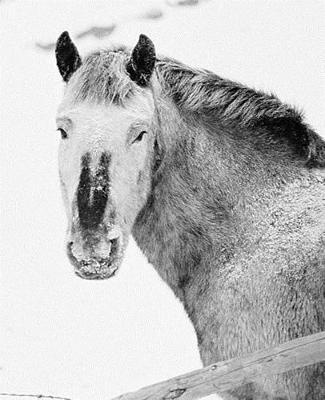 Winter Theme School Composition Book Horses In Snow 130 Pages: (Notebook, Diary, Blank Book)