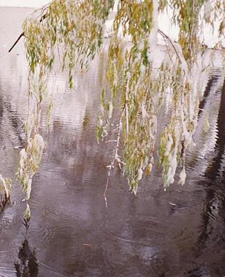 Winter Theme School Composition Book Pretty Snowy Branches 130 Pages: (notebook, Diary, Blank Book)