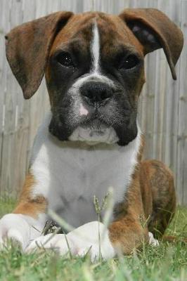 Serious Boxer Puppy Lined Journal: Canine Gift Notebook for Dog Lovers