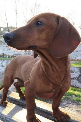 Dachshund Dog Lined Journal: Canine Gift Notebook for Dog Lovers