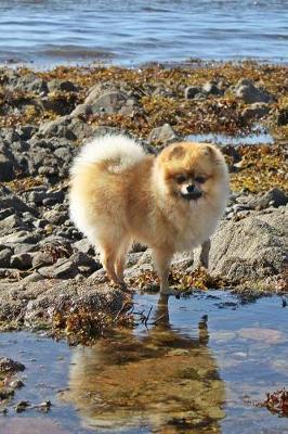 Pomeranian Dog Lined Journal: Canine Gift Notebook for Dog Lovers