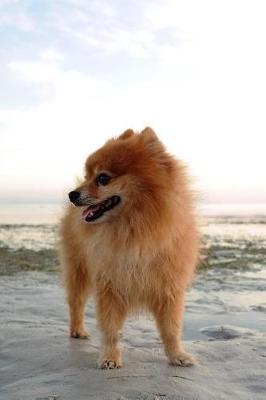 Pomeranian Dog Lined Journal: Canine Gift Notebook for Dog Lovers