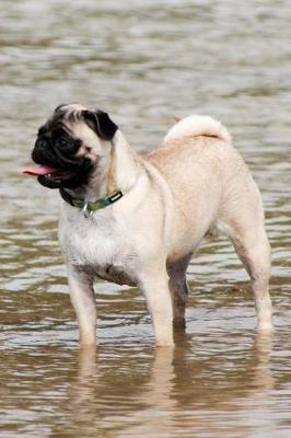 Pug Dog Lined Journal: Canine Gift Notebook for Dog Lovers