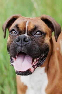 Smiling Boxer Dog Lined Journal: Canine Gift Notebook for Dog Lovers