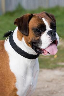 Smiling Boxer Dog Lined Journal: Canine Gift Notebook for Dog Lovers