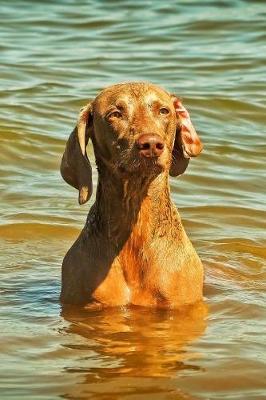 Vizsla Dog Lined Journal: Canine Gift Notebook for Dog Lovers