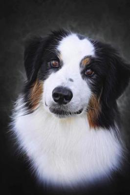 Dog Sketchbook: Dog Bordered Sketchbook for Kids. Funny Dog Drawing Book for Boys and Girls (Blank Bordered Sketchbooks)150 Pages 6x9 Dog Sketch Paper Book