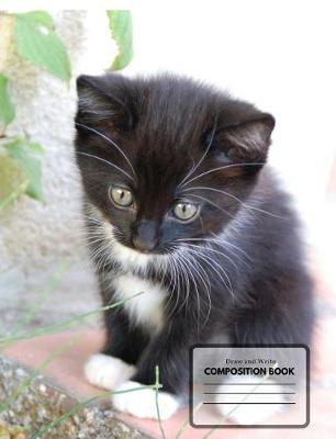 Draw and Write Composition Book: With Kitten - Storybook Paper for Boys, Giirls, Students and Teachers - Grades K-3 - 100 Pages - Softcover With A Matte Finish