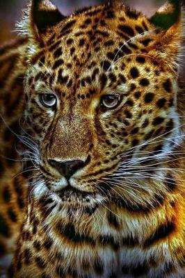 Cheetah Sketchbook: Cheetah Bordered Sketchbook for Kids. Funny Cheetah Drawing Book for Boys and Girls (Blank Bordered Sketchbooks)150 Pages 6x9 Cheetah Sketch Paper Book