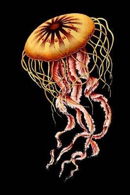 Jellyfish Sketchbook: Jellyfish Bordered Sketchbook for Kids. Funny Jellyfish Drawing Book for Boys and Girls (Blank Bordered Sketchbooks)150 Pages 6x9 Jellyfish Sketch Paper Book