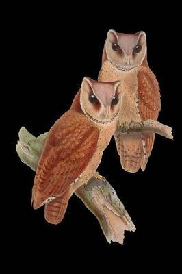 Owl Sketchbook: Owl Bordered Sketchbook for Kids. Funny Owl Drawing Book for Boys and Girls (Blank Bordered Sketchbooks)150 Pages 6x9 Owl Sketch Paper Book