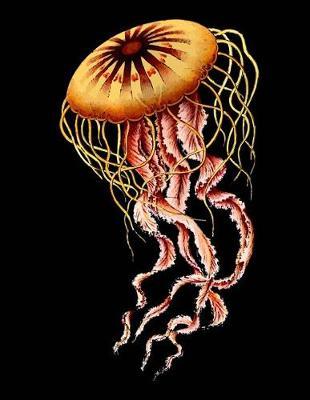 Jellyfish Sketchbook: Jellyfish Bordered Sketchbook for Kids. Funny Jellyfish Drawing Book for Boys and Girls (Blank Bordered Sketchbooks)150 Pages Large 8.5x11 Jellyfish Sketch Paper Book