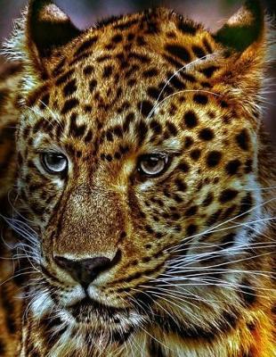 Cheetah Sketchbook: Cheetah Bordered Sketchbook for Kids. Funny Cheetah Drawing Book for Boys and Girls (Blank Bordered Sketchbooks)150 Pages Large 8.5x11 Cheetah Sketch Paper Book