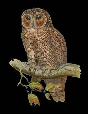 Owl Sketchbook: Owl Bordered Sketchbook for Kids. Funny Owl Drawing Book for Boys and Girls (Blank Bordered Sketchbooks)150 Pages Large 8.5x11 Owl Sketch Paper Book