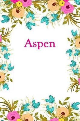 Aspen: Aspen Journal Diary Notebook