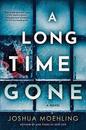 A Long Time Gone: A Novel