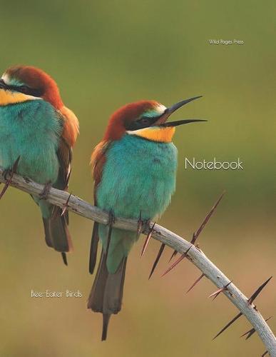 Notebook: Bee-Eater Birds