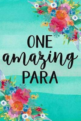 One Amazing Para: A Notebook for School Paraprofessional Teachers Aide