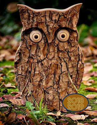 2018 2019 Owl 15 Months Daily Planner: Academic Hourly Organizer in 15 Minute Interval; Appointment Calendar with Address Book & Note Section; Monthly & Weekly Goals Journal with Quotes