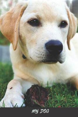 My Dog: Journal Notebook for Animal Lovers, Notebooks with Animals for Kids, Notebook to Coloring Drawing and Writing (110 Pages, Blank, 6 X 9)