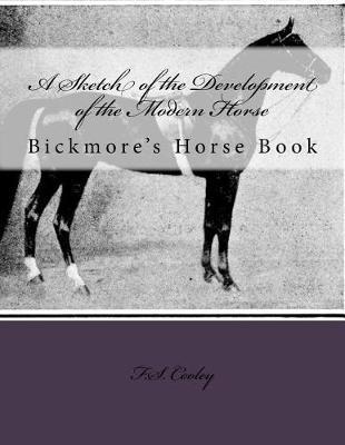 A Sketch of the Development of the Modern Horse: Bickmore's Horse Book