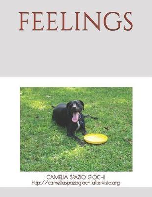 Feelings