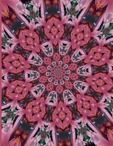 Fractal Photo Art Notebook: Pink Lily 1: A fractal image notebook made from a photo of a fresh cut pink lily flower, and filled with college ruled paper.