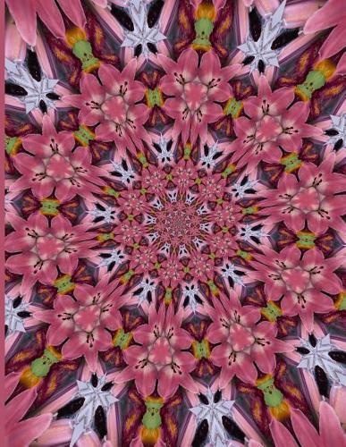 Fractal Photo Art Notebook: Pink Lily 2: A fractal image notebook made from a photo of a fresh cut pink lily flower, and filled with college ruled paper.