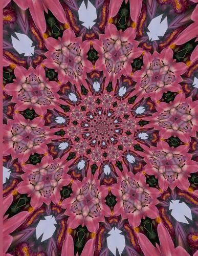 Fractal Photo Art Notebook: Pink Lily 3: A fractal image notebook made from a photo of a fresh cut pink lily flower, and filled with college ruled paper.