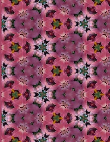 Fractal Photo Art Notebook: Pink Lily 8: A fractal image notebook made from a photo of a fresh cut pink lily flower, and filled with college ruled paper.