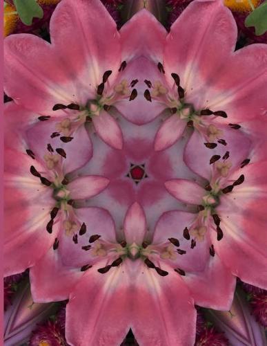 Fractal Photo Art Notebook: Pink Lily 12: A fractal image notebook made from a photo of a fresh cut pink lily flower, and filled with college ruled paper.