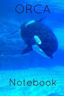 Orca Notebook: Whale