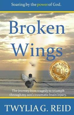Broken Wings: The journey from tragedy to triumph through my son's traumatic brain injury.