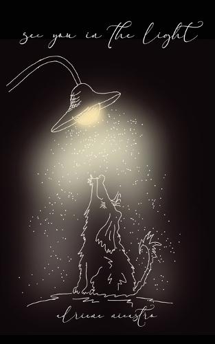 see you in the light