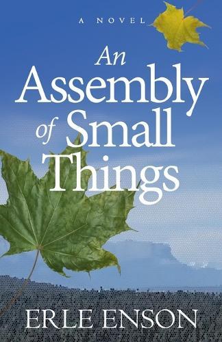 An Assembly of Small Things