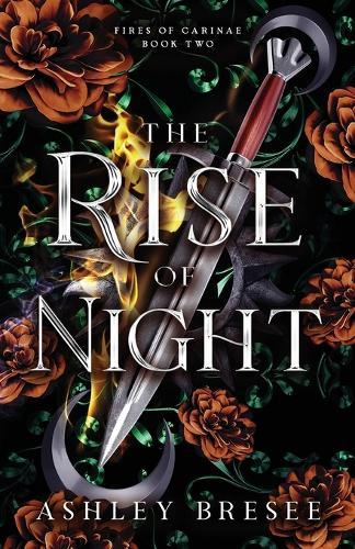 The Rise of Night: A Dark Fantasy Romance