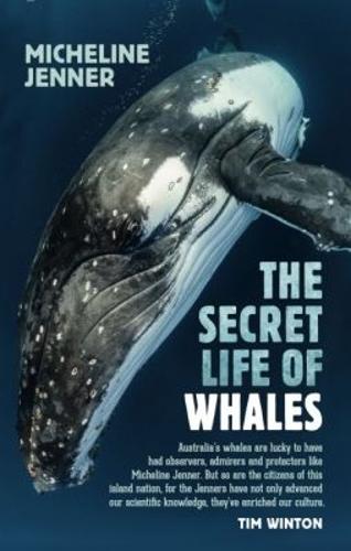 The Secret Life of Whales: A Marine Biologist Reveals All