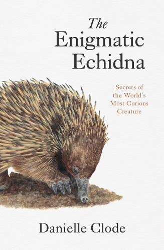 The Enigmatic Echidna: Secrets of the World's Most Curious Creature