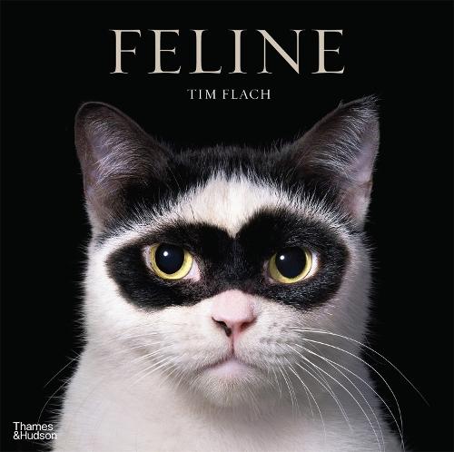 Feline: Photographs