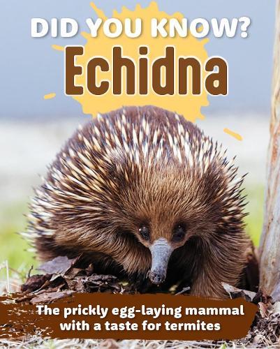 Did You Know? Echidna: The prickly egg-laying mammal with a taste for termites