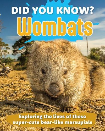 Did You Know? Wombats: Exploring the lives of these super-cute bear-like marsupials