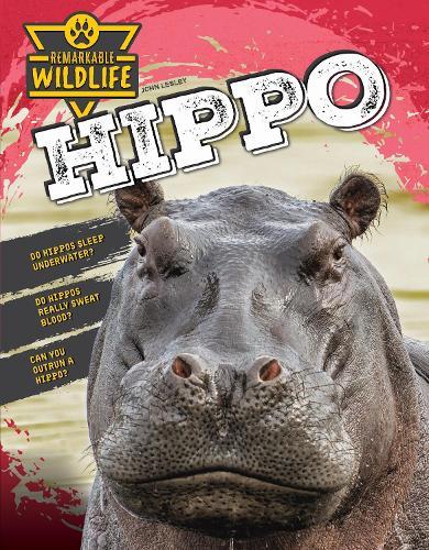 Hippo