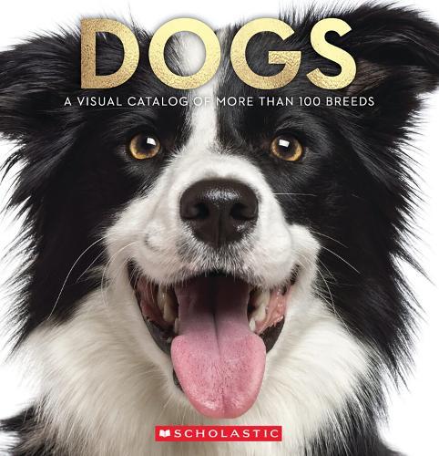 Dogs: A Visual Catalog Of More Than 100 Breeds