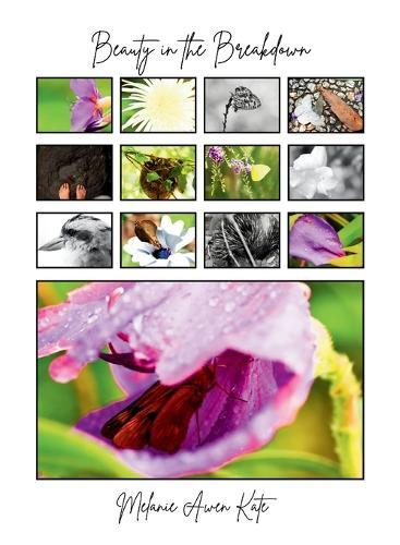 Beauty in the Breakdown