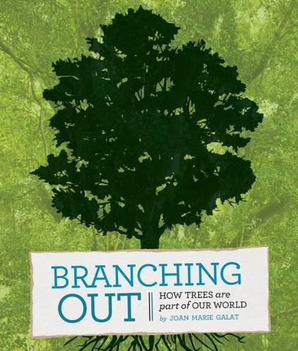 Branching Out: How Trees Are a Part of Our World