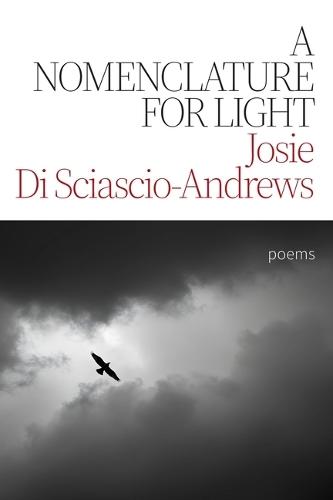 A Nomenclature for Light: Poems