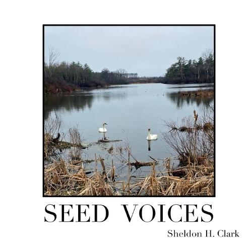 Seed Voices