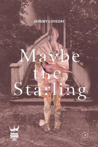 Remember the Starling